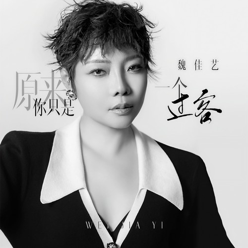 魏佳艺-原来你只是一个过客.flac 下载插图