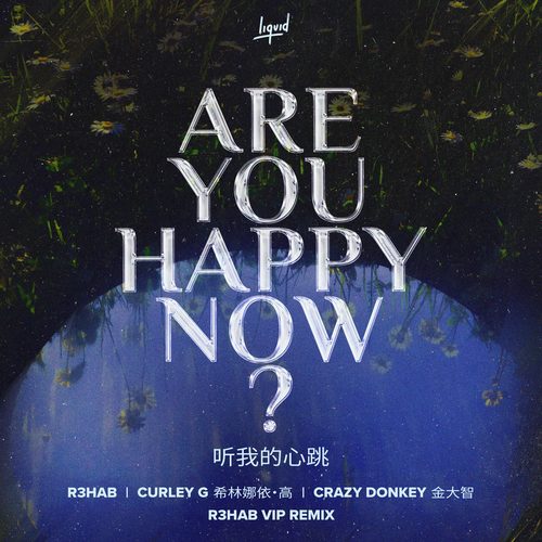 Are You Happy Now(R3HAB VIP Remix)