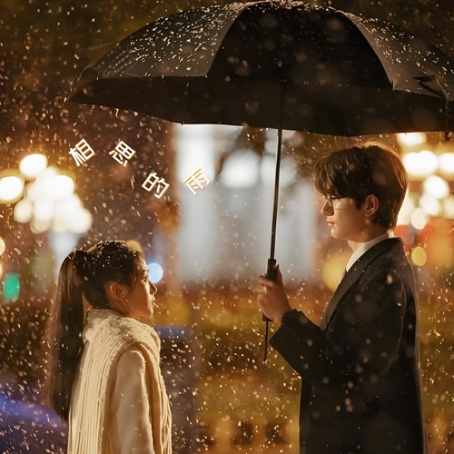 相思的雨(Dj沈浪版)