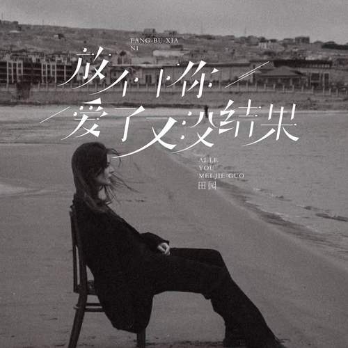 放不下你爱了又没结果