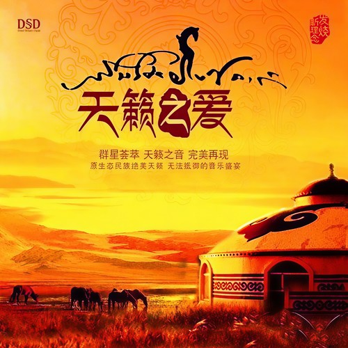远方情人 - 群星