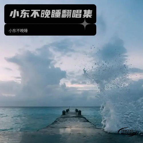 小东不晚睡翻唱集