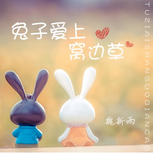 兔子爱上窝边草(DJ沈念版) - 魏新雨