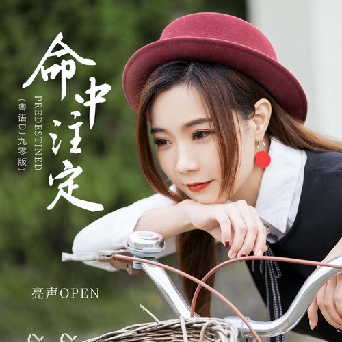 命中注定(粤语DJ九零版)
