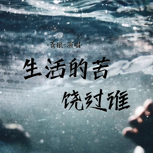 生活的苦饶过谁