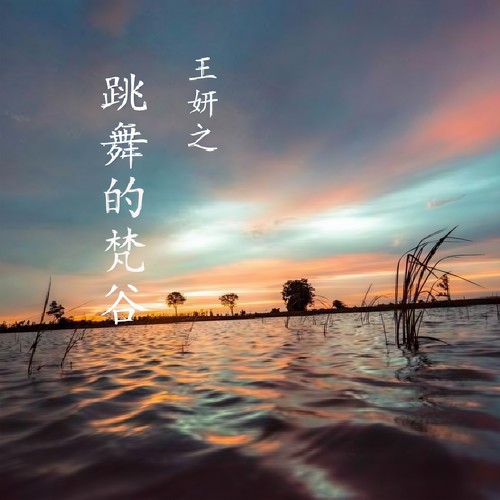 世界上的另一个我 - 王妍之