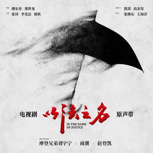以法之名 电视剧原声带
