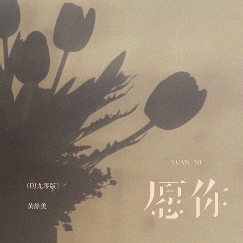愿你（DJ九零版）