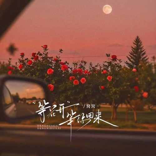 等花开等你回来（山花遍野版）