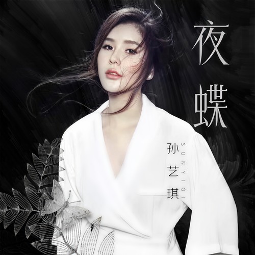 夜蝶(DJ何鹏版) - 孙艺琪