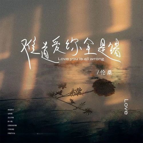 伦桑-难道爱你全是错.flac