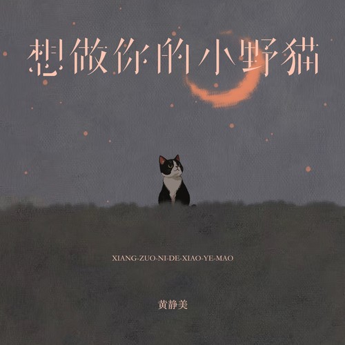 想做你的小野猫