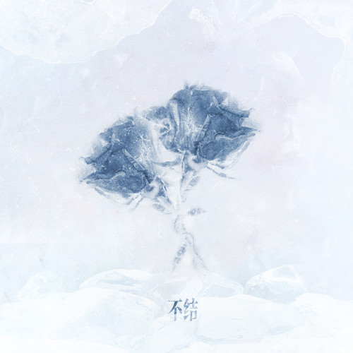 不结 - 张鑫&邹沛沛