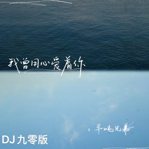 我曾用心爱着你(DJ九零版)