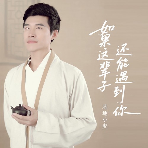 如果这辈子还能遇到你