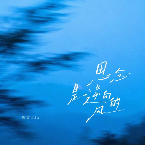 思念是逆向的风