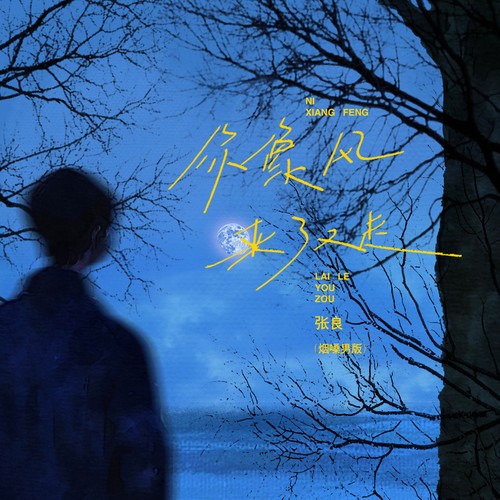 你像风来了又走（烟嗓男版）