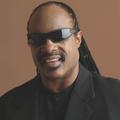 Stevie Wonder