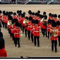 The Coldstream Guards Band