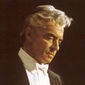 Herbert Von Karajan2&Vienna Philharmonic Orchestra&Wiener Staatsopernchor&Michel Sénéchal&Mirella Freni&Robert Kerns&Luciano Pavarotti