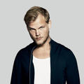 Avicii&Sebastien Drums