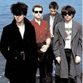 Echo And The Bunnymen