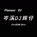 情罪 (岑溪DJ辉仔 remix) (Remix) - 岑溪DJ辉仔