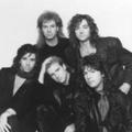 glass tiger