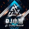 最好的安排 (DJ小智 remix) (Remix) - DJ小智