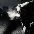 叮咚鸡 (中元节特供) - EDM大魔王