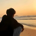 白鸽和乌鸦相爱的戏码（加速版） - 王嘉嘉