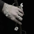 最好的安排 (翻奏: 曲婉婷) (Live) - 星社