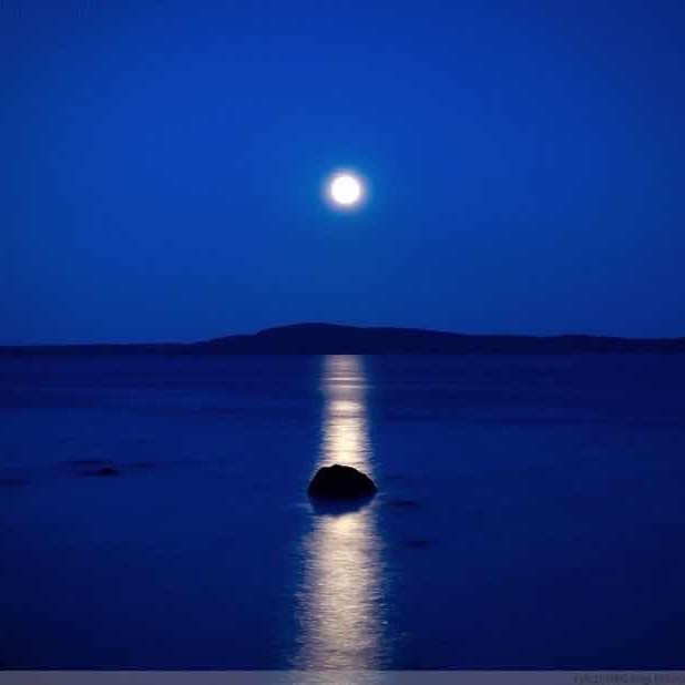 郑浩