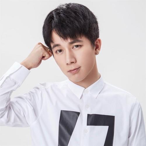 伤痕 - 李明霖