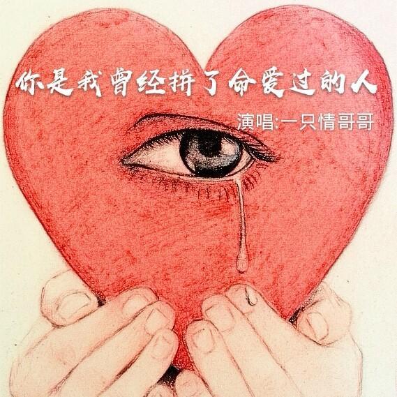 你是我曾经拼命爱过的人 - 一只情哥哥
