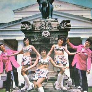 The Reynettes