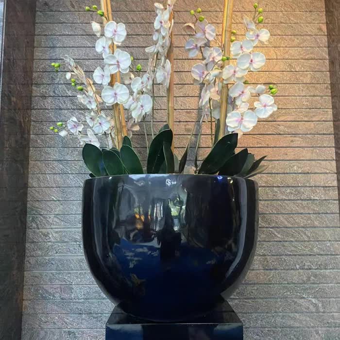 梁力