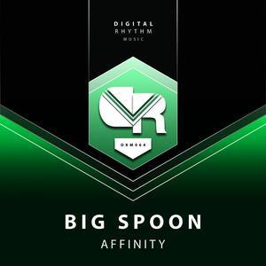 Big Spoon
