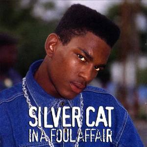 Silver Cat