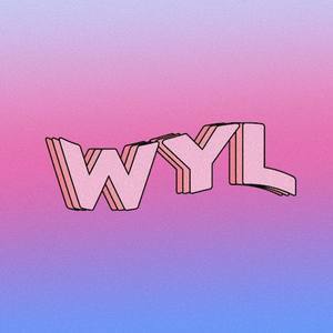 陕北秧歌舞 - WYL