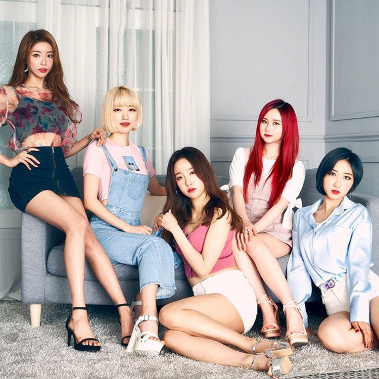지비비