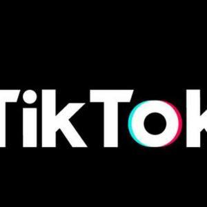 Tik Tok&Turtle