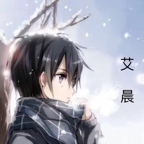 雷电将军全阶段 - アニメ(ACG)