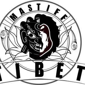 Bengala (Original Mix) (Original Mix) - Mastiff&Woods
