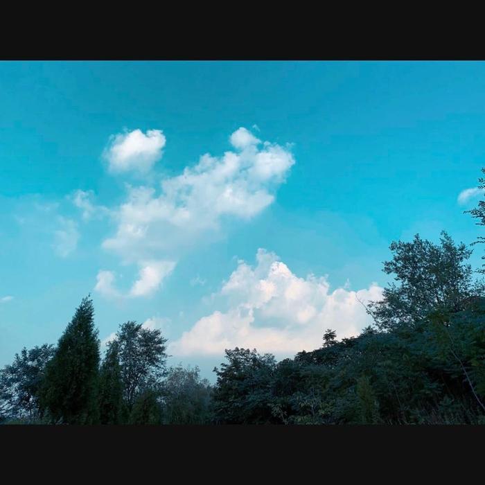 莫迪迪&邓千荧