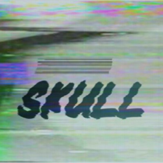 SKUll&CEM Records