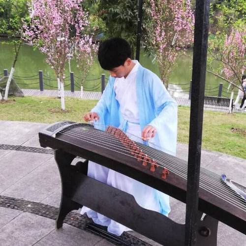 古筝小绵羊