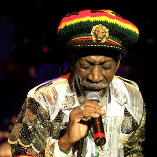 Hypocritical Dub - Bunny Wailer