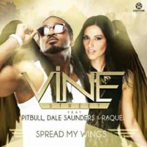 Spread My Wings (Davis Redfield Edit Mix) - Vine Street&Raquel&Pitbull&Dale Saunders