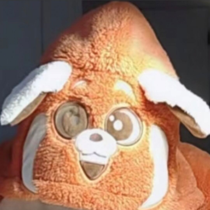 RAM